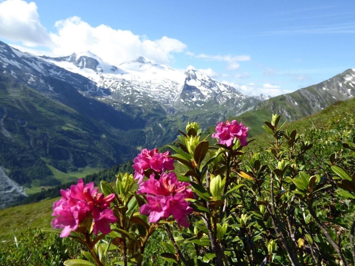 Ferienwohnung Alpenheim 图克斯 外观 照片